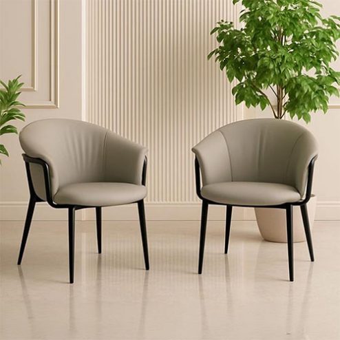 Mẫu Ghế Ăn Hiện Đại Diva Nhập Khẩu GA733
